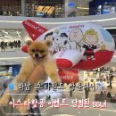 뚱이이모 | [항공권이벤트] 하남 스타필드 이스타항공 이벤트 당첨 후기_애견동반