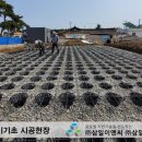 삼일이엔씨주