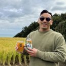 와일드캣 브루잉(WILD CAT BREWING) 네이버블로그