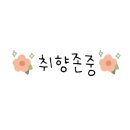 앤실루미