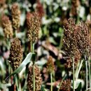 부부식당 이미지