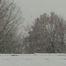 탑골농원 이미지