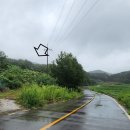 대동리 마을회관 이미지