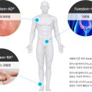 [강스템바이오텍] 바닥을 찍고 올라갈 확률이 높은 기업