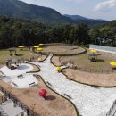 펫인더파크 이미지