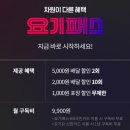 요기요요기패스