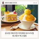 성수동 카페 추천 까치화방 성수낙낙점 망고빙수 맛집