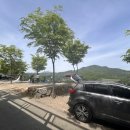 비바할인마트 이미지
