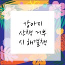 세림동물병원 | 부평구동물병원에서 알아보는: 강아지 산책 거부 대처법