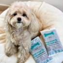 꼬리살랑 | 새끼 강아지 사료 본아페티 눈물 눈 건강에 좋은 저알러지 연어 애견사료 급여 후기