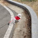 살롱드 멍 이미지