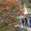 부동산전망 평택싼땅 평택39번국도토지매매 평택투자 평택토지] 안성 서운산등산후기 / 안전한 등산방법