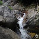 소백산국립공원 북부사무소 이미지