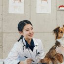 첨단우리동물병원 이미지