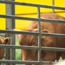 소도마을경로당 이미지