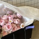“잘 죽기위해서도 준비가 필요할까요?” | 4. 부산 웨딩 야외 스냅 후기 (고다큐)