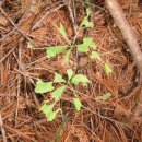 둔내농장 이미지