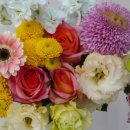 팜팜스토어 이미지