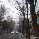 정동길 이미지