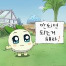 잠실미소약국 | 스마일라식 하려고 강남안과 돌다가 라섹받은 사람의 수술후기: 눈에미소안과