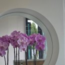 한정식 소나무 앞 이미지