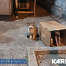 성산구 ⓒ-26 이미지