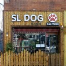 에스엘 독 이미지