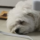카페모던코드 이미지