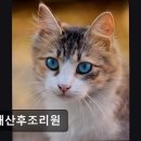 유재산후조리원 이미지