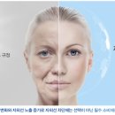 이에스텍 이미지