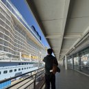 산토리니 | 산토리니 크루즈 신혼여행 후기 | 로열캐리비안 Greek Isles 이탈리아·그리스·터키 일정