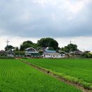 용서농장 이미지