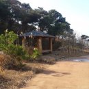 빛가람호수공원전망대 이미지