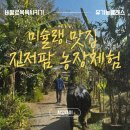 한다리농장 | 치앙마이 진저팜키친 아이랑 버팔로 목욕시키기 유기농 농장체험