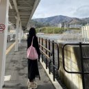 (사)솔솔송자원봉사대 | [JENESYS2022] COOL JAPAN 쿨재팬리포터 2일차 ♡ 도쿄에서 센다이까지 / 마츠시마 /미나미산리쿠