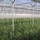 남성 태양광발전소 이미지