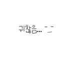 황금빗자루목포 이미지