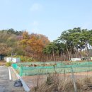 아름동_아름중학교앞 이미지