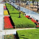 평촌중앙공원 이미지