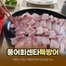 풍어회센타