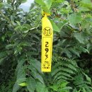 사천송림 이미지