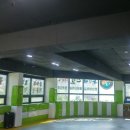 용인대선일태권도장 이미지