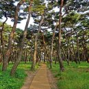 경주숲 1,2 이미지