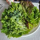 대원테크 | 휴양림맛집 암스테르담 삼겹 목살 참나무숯 바베큐 쌈 맛집 단체석 150명 가능한 단체손님 맛집 방문 후기