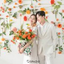 스파지오 이미지