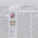 벚꽃붕어빵