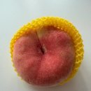 말랑달콤 | 코스트코 과일 추천 납작복숭아 | 달콤말랑한 납작복숭아 내돈내산 후기 ✿