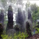 우리꽃식물원 이미지