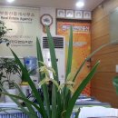 굿랜드공인중개사사무소 이미지