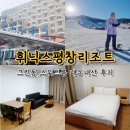 주정차-11 | 평창숙소 평창휘닉스리조트 그린동 스위트 객실 내돈내산 후기